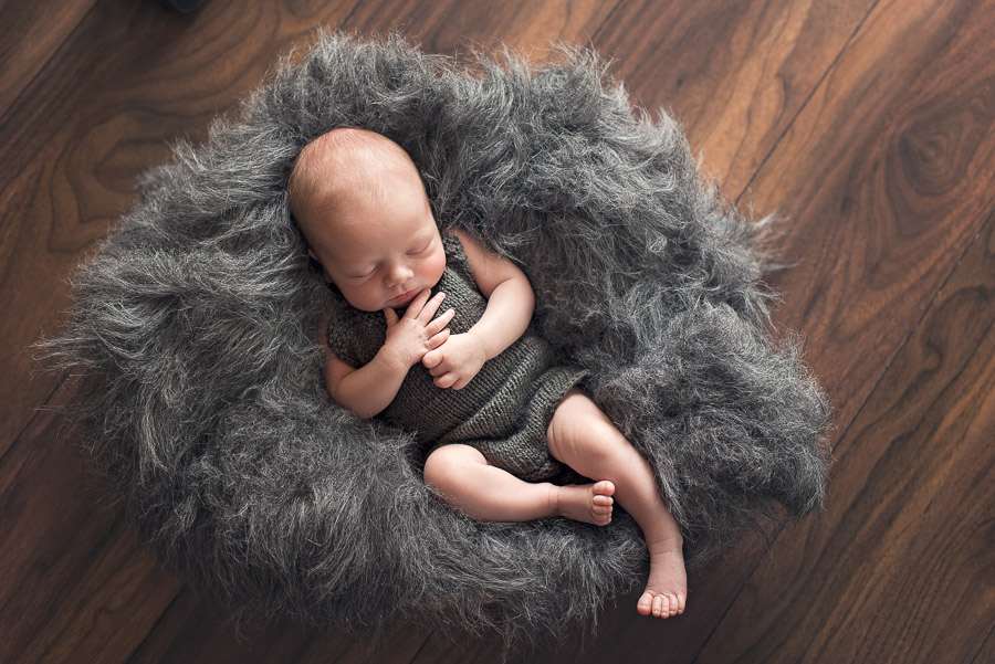 newborn baby boy photographs grey outfit studio loght