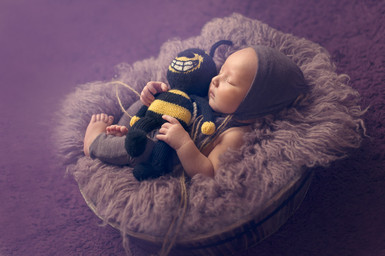 newborn baby photography with bee in the basket